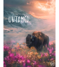 Untamed Spirit