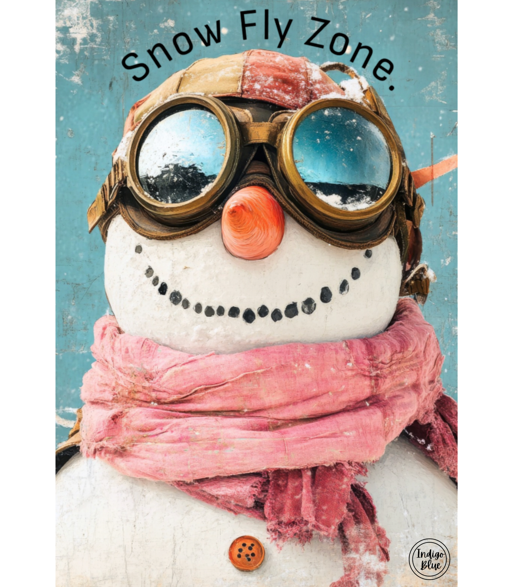 Snow Fly Zone