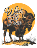 Wild And Free Buffalo