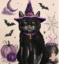 Magic Black Cat (Kayla Collection)